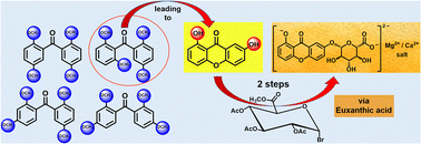 Graphical abstract: Investigation and development of novel synthetic approaches for synthesis of euxanthone and derived dyes