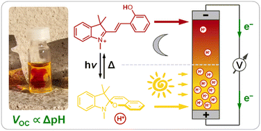 Graphical abstract: Wiring proton gradients for energy conversion