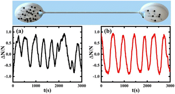 Graphical abstract: Obstacle-enhanced spontaneous oscillation of confined active granules