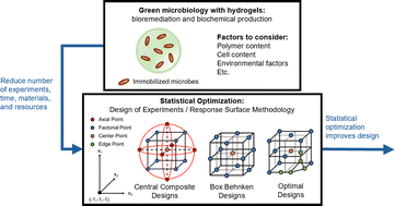 Graphical abstract: Statistical optimization of cell–hydrogel interactions for green microbiology – a tutorial review