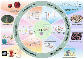 Graphical abstract: Sensing technology empowering food safety: research progress of SERS-assisted multimodal biosensing toward food hazard factors