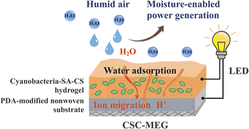 Graphical abstract: Moisture-electric generator based on a facilely prepared cyanobacteria–sodium alginate–chitosan composite hydrogel