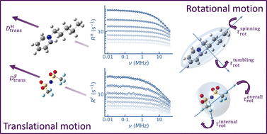 Graphical abstract: Beyond isotropic reorientation: probing anisotropic and internal motions in ionic liquids with fast field cycling NMR relaxometry and MD simulations