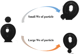 Graphical abstract: Experimental study of the effect of particle collision on bubble dynamics behavior