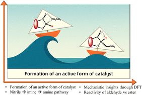Graphical abstract: Mechanistic insights into neosilyllithium-catalyzed hydroboration of nitriles, aldehydes, and esters: a DLPNO-CCSD(T) study