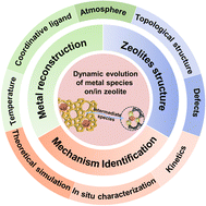 Graphical abstract: Dynamic evolution of metal structures on/in zeolites for catalysis