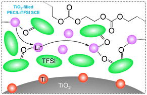 Graphical abstract: Molecular dynamics of the coordination effect and ionic transport in TiO2-filled poly(ethylene carbonate)-based electrolytes