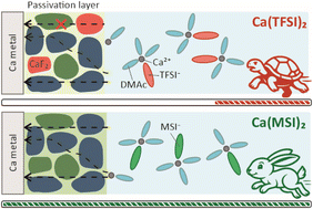 Graphical abstract: A fluorine-free electrolyte for calcium metal batteries