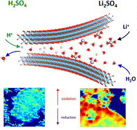 Graphical abstract: Nanoscale chemical imaging of pseudocapacitive charge storage in MXenes