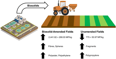 Graphical abstract: Comparing the microplastic content in biosolid-amended and non-amended agricultural soils