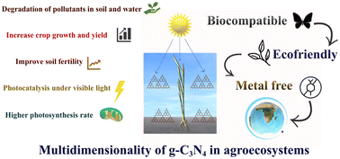 Graphical abstract: Graphitic carbon nitride (g-C3N4) nanomaterials for foliar applications and soil–water remediation in agriculture: a review