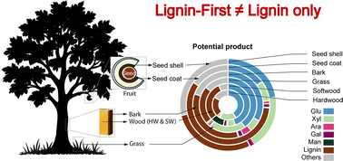 Graphical abstract: Strategic design principles for greener biorefineries: a substrate–process matrix emphasizing complete lignocellulose utilization from various biomass feedstocks