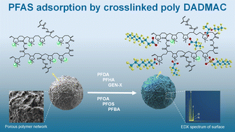 Graphical abstract: Synthesis of an anion exchange resin for enhanced PFAS adsorption in water treatment