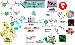 Graphical abstract: 5-(Thiophen-2-yl)isoxazoles as novel anti-breast cancer agents targeting ERα: synthesis, in vitro biological evaluation, in silico studies, and molecular dynamics simulation