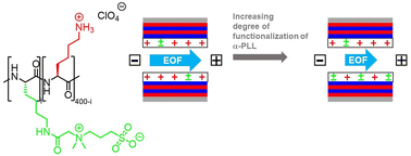 Graphical abstract: Adjusting the electroosmotic flow for CE separation of proteins by using poly(α-l-lysine)-based mixed polycationic/polyzwitterionic multilayer coatings