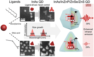 Graphical abstract: Ligand-driven facet control of InAs-based quantum dots for enhanced near- and shortwave infrared emission