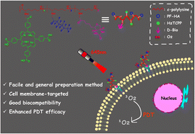Graphical abstract: Engineering ε-polylysine-based photodynamic therapy agents with oxygen carrying and membrane-targeting capabilities for enhanced therapy under hypoxic conditions