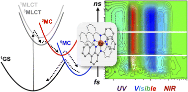 Graphical abstract: Resolving consecutive excited-state evolution in Fe-amido chromophores by wide-band optical transient absorption spectroscopy