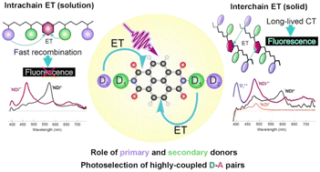 Graphical abstract: Photoinduced charge-transfer dynamics in fluorescent electron donor–acceptor polymers