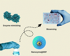 Graphical abstract: Molecularly imprinted polymer-integrated nanozymes for biosensing: advances and prospects