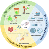 Graphical abstract: Engineered microbial sensors: providing a new paradigm for disease detection