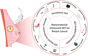 Graphical abstract: Enhanced sonodynamic therapy and theranostic integration for breast cancer treatment: nanomaterial-driven multifunctional platforms