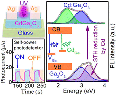 Graphical abstract: Cadmium defect-induced modulation of hole self-trapping in monoclinic gallium oxide for optoelectronic applications