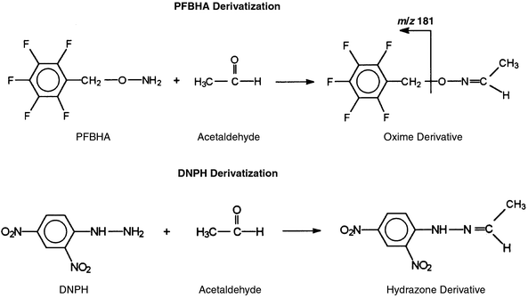 Dnph carbonyl essay