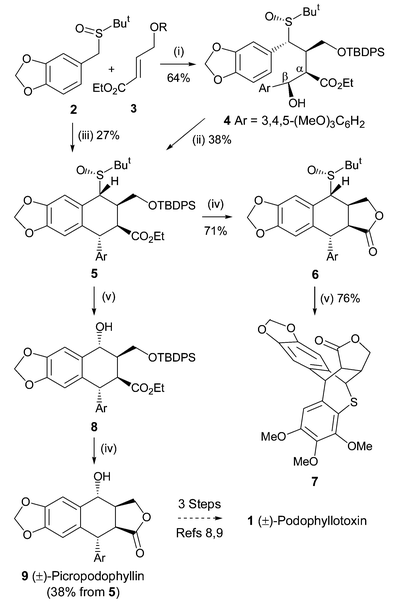 Image result for Picropodophyllin