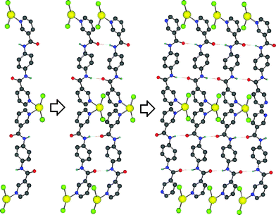 the 2-d network is generated by both coordination (hgcnpy) and