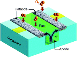 Bendable Fuel Cells On Chip Cell A Flexible Polymer 1 Schematic Ilration Explaining The Design Of Our On Chip Fuel Cell Protons Are Generated By Oxidization Anode Deposited Bottom