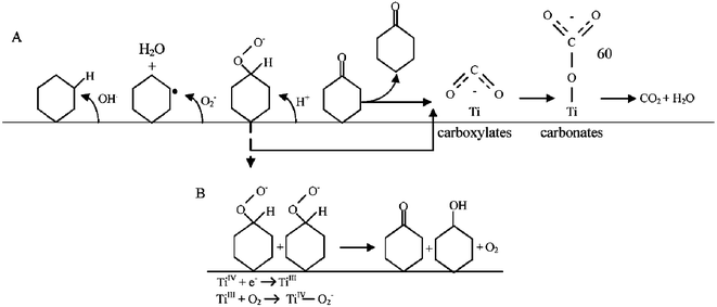 👍 Oxidation of cyclohexanol to cyclohexanone mechanism. Orgo Lab Exam 2 ...