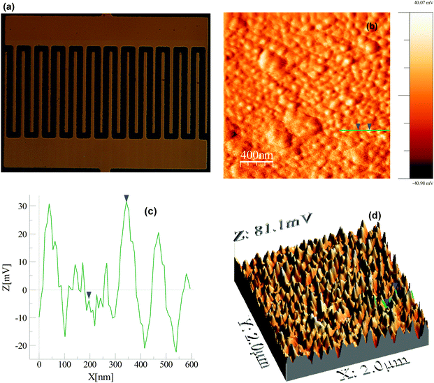 (a) Optical micrograph of a GID capacitor; (b) tapping-mode AFM height image (scan area of 2 Ã 2 Î¼m2) of GID electrodes on capacitor surface; (c) Line plot surface profile of the selected green line in the AFM height image, and (d) 3D AFM topographical map of the GID electrode surface (scan area of 2 Ã 2 Î¼m2). The blue arrowheads indicate the surface topography regions of valley and height within the 120 nm green line region.