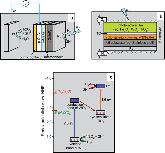 Water electrolysis and photoelectrolysis on electrodes engineered using ...