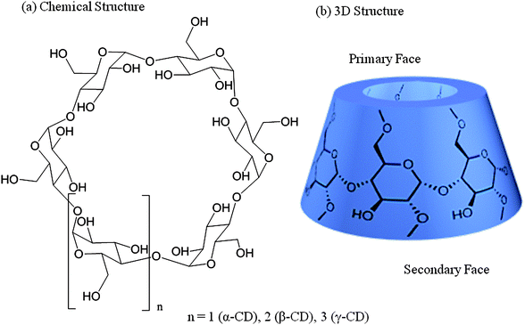 Cyclodextrin functionalized polymers as drug delivery systems - Polymer ...