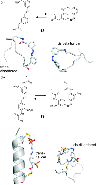 Azobenzene photoswitches for biomolecules - Chemical Society Reviews ...