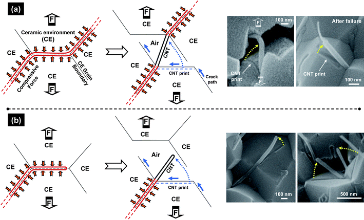 Coupling Matrix Synthesis Software Crack Coupling Matrix Synthesis Software Crack