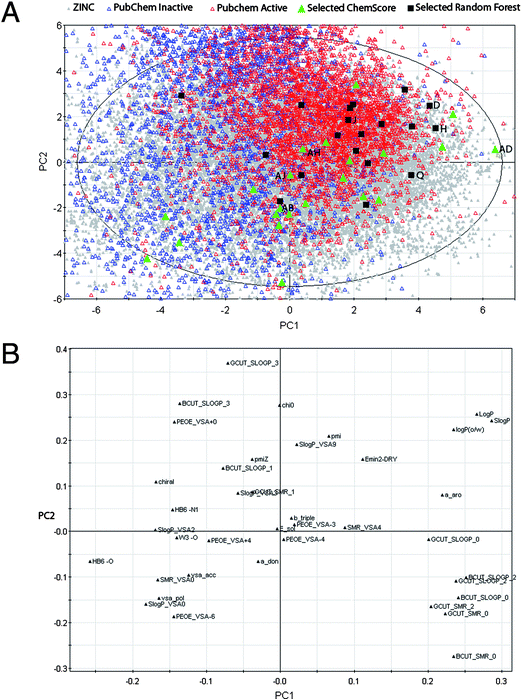 Score plot (top) and loadings plot (bottom) from principal component analysis (two first of seven principal components (PCs) shown (R2 = 0.67, Q2 = 0.40)) of the 19 997 entries extracted from the ZINC database (in grey). The experimentally tested compounds selected by the ligand-based random forest method (19 compounds) and the structure-based docking method (22 compounds) are colored black and green, respectively. Other known CYP1A2 inhibitors/non-inhibitors from PubChem are shown with open red/blue triangles, respectively. The tested compounds with best IC50 values are shown.