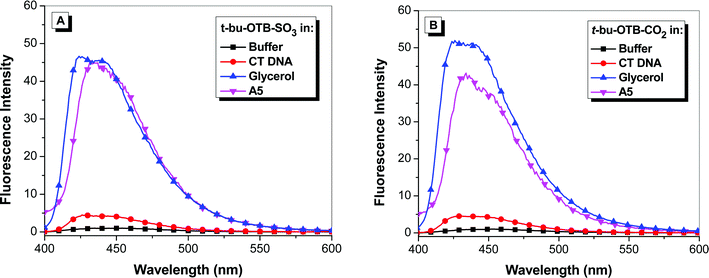 blue fluorescent dye protein