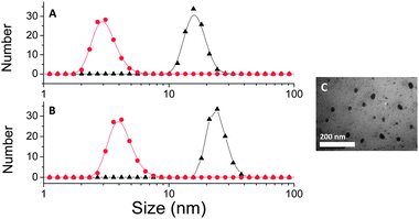 Dynamic light scattering (DLS) and TEM picture of star and arm polymers. (A) DLS of poly(OEG-A) arm with Mn, arm = 11 500 g mol−1 (red circle) and after formation of star polymers (black triangle) viaRAFT polymerization using N,N′-bis(acryloyl)cystamine as the cross-linker; (B) DLS of poly(OEG-A) arm with Mn, arm = 18 500 g mol−1 (red circle) and star polymer (black triangle) obtained viaRAFT polymerization using N,N′-bis(acryloyl)cystamine; (C) TEM picture of poly(OEG-A) star polymers with Mn, arm = 18 500 g mol−1. Experimental condition: reaction was performed for 24 h at 70 °C.