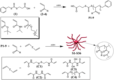 Schematic representation for the synthesis of star polymersvia arm first approach using different cross-linkers (C1–C4).