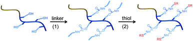 Sequential modification of a hydroxyl-containing diblock copolymer precursor: (1) reaction between pendent hydroxyl groups and isocyanate-alkene linker; (2) thiol-ene click addition with selected thiols.