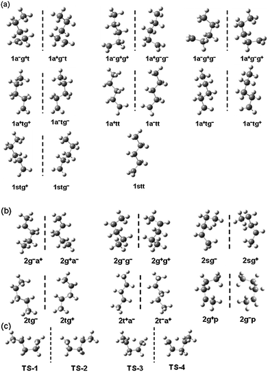 Fifteen structures of 1-pentyl radical (a); twelve structures of 2-pentyl radical (b); and four structures of the transition state (c). A vertical dashed line is used to separate the mirror image structures.