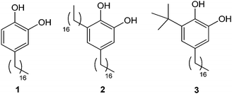 Structure of alkylcatechols 1–3.