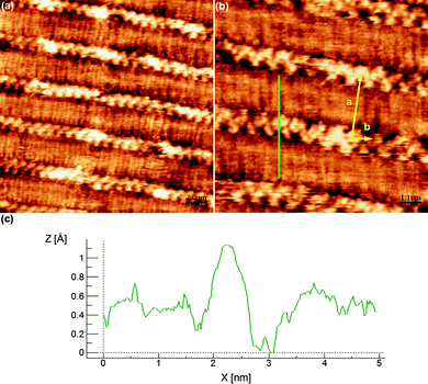Self-assembly pattern of 2 at the TCB–HOPG interface. (a) Wide view. Scanning conditions: 20 nm × 20 nm, Iset = 63 pA, Vbias = 500 mV. (b) Zoom view. Unit cell parameters: a = 3.4 ± 0.2 nm, b = 1.0 ± 0.2 nm, γ = 95 ± 4°. Scanning conditions: 10 nm × 10 nm, Iset = 64 pA, Vbias = 500 mV. (c) Profile marked as a green line in (b), coincident with the length of 2 molecule in its most extended conformation.