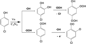 Proposed early steps in the transformation pathways of 4-CP under visible light irradiation.