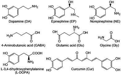 Image result for amino acid neurotransmitters