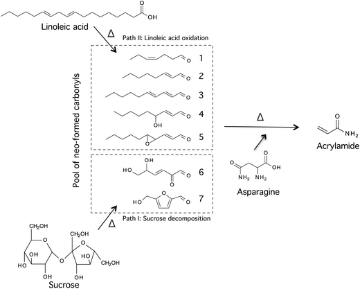 SUC Decomposition And LIN Oxidation As Potential Source Of Neo Formed Carbonyls Enhancing Acrylamide Formation SUC Decomposition And LIN Oxidation As Potential Source Of Neo Formed Carbonyls Enhancing Acrylamide Formation
