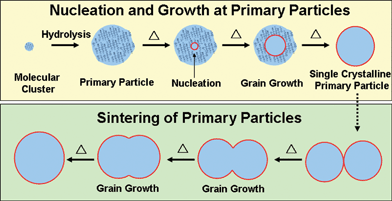 Sol-gel TiO 2 in self-organization process: growth ...