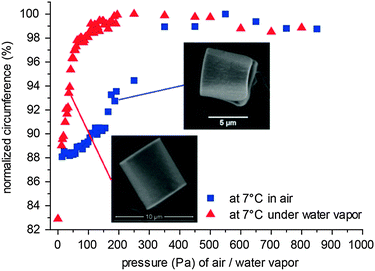 Vapour Pressure Dependence And Thermodynamics Of Cylindrical